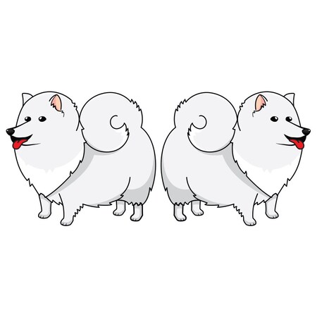Signmission American Eskimo Dog Dog Decal, Dog Lover Decor Vinyl Sticker D-18-American Eskimo Dog